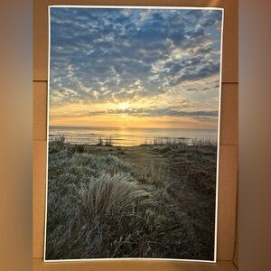 “Path to the Sea” Stephanie Foster Photography